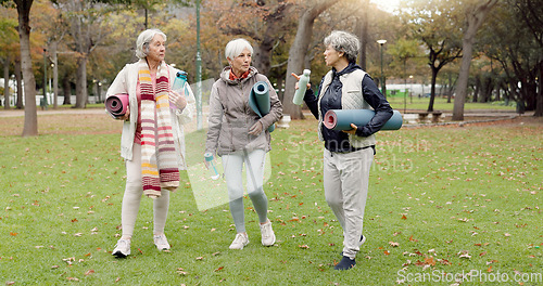 Image of Smile, retirement and senior friends in the park, laughing together while standing on a field of grass. Portrait, freedom and comedy with a group of elderly women in a garden for fun or humor