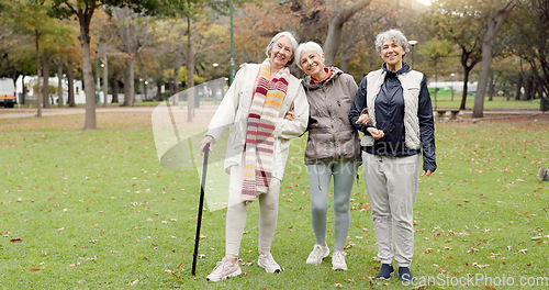 Image of Smile, retirement and senior friends in the park, laughing together while standing on a field of grass. Portrait, freedom and comedy with a group of elderly women in a garden for fun or humor