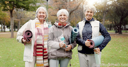 Image of Old women, friends and yoga in the park, fitness and smile in portrait, health and retirement together. Female people in nature, exercise mat and pilates class with pension, community and wellness