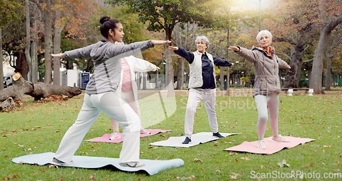 Image of Trainer, park and old women stretching, yoga and fitness for wellness, exercise and pilates training. Female people, senior club and group outdoor, meditation and workout with health and retirement