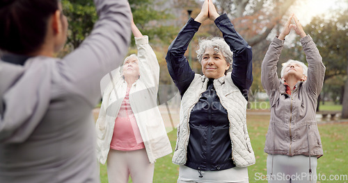 Image of Trainer, park and elderly women stretching, yoga and fitness for wellness, health and pilates training. Female people, senior club or group outdoor, meditation or workout with exercise or retirement