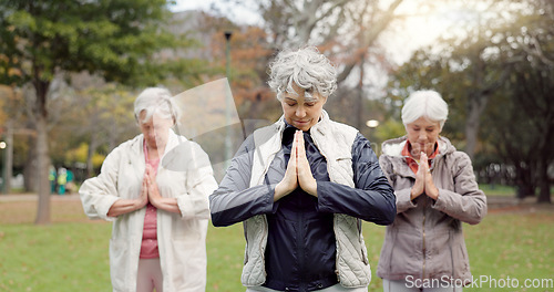 Image of Health, park and elderly women stretching, yoga and exercise for wellness, retirement and pilates training. Female people, senior club or group outdoor, meditation and workout with self care or peace