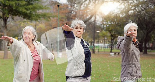 Image of Trainer, park and elderly women stretching, yoga and fitness for wellness, exercise and retirement. Female people, senior club and group outdoor, meditation and workout with progress and self care