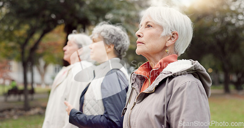 Image of Breathing, park and elderly women with peace, yoga and fitness for wellness, calm and pilates training. Female people, senior club and group outdoor, meditation and workout with health and fresh air