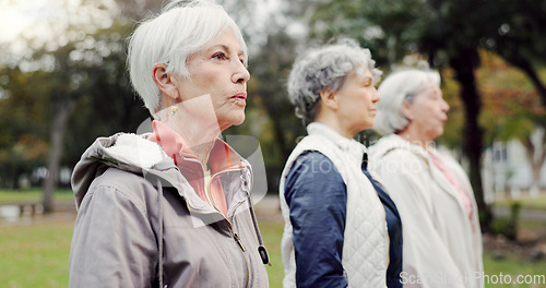 Image of Breathing, park and elderly women with peace, yoga and fitness for wellness, calm and pilates training. Female people, senior club and group outdoor, meditation and workout with health and fresh air