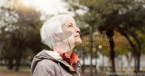 Image of Freedom, nature and elderly woman breathing on vacation, holiday journey and winter travel. Park, fresh air and senior person outdoor for peace, calm and celebration for health, wellness and relax.