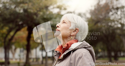 Image of Freedom, nature and elderly woman breathing on vacation, holiday journey and winter travel. Park, fresh air and senior person outdoor for peace, calm and celebration for health, wellness and relax.