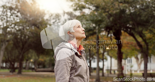 Image of Freedom, nature and elderly woman breathing on vacation, holiday journey and winter travel. Park, fresh air and senior person outdoor for peace, calm and celebration for health, wellness and relax.