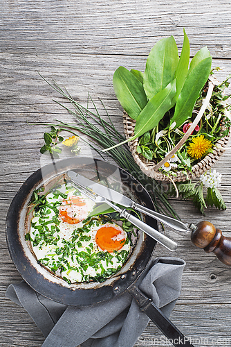 Image of Fried egg spring plants