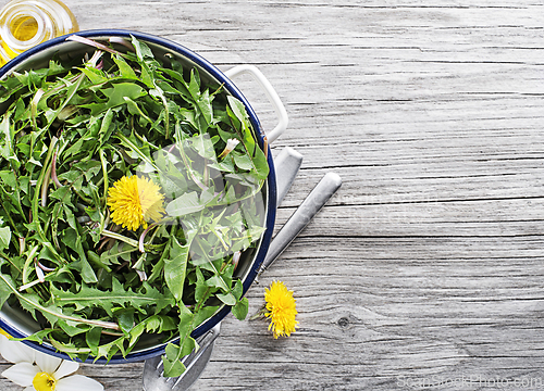Image of Dandelion salad