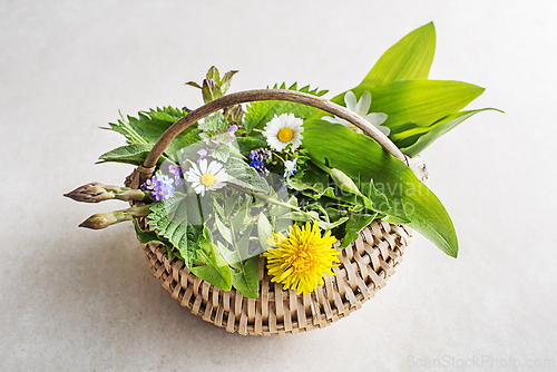 Image of Spring food plants