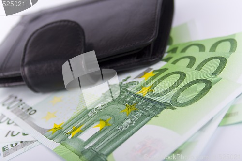 Image of euro and a leather purse