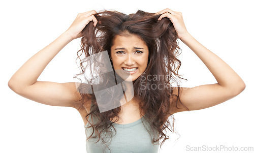 Image of Hair, woman and portrait with stress in studio for texture, treatment damage and keratin hairloss. Model, person and frustrated with salon for haircare, cosmetics and hairstyle on white background
