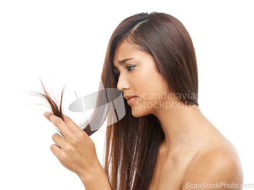 Image of Hair care, woman and frustrated in studio with shampoo texture, treatment damage and keratin hairloss problem. Model, person and stress with salon haircut, split ends or hairstyle on white background