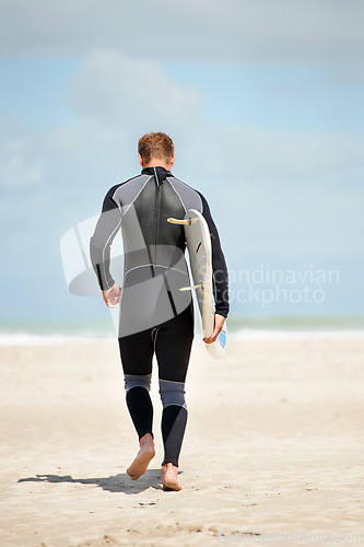 Image of Surfer, back of man with surfboard and beach for extreme sports, wet suit and adventure in the sun. Summer vacation with travel and surfing in nature, ocean and exercise with hobby in Australia