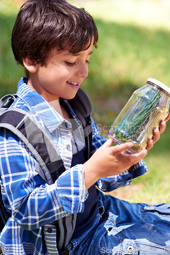 Image of Boy, kid and smile with jar in nature, exploring and learning on adventure, hiking in park or woods for fun. Happy, young explorer and camping, discovery and glass container for collecting bugs