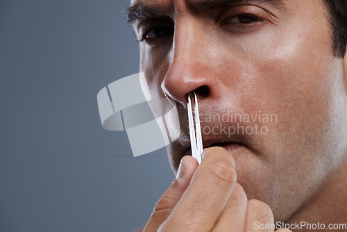 Image of Nose, hair removal and portrait of man closeup with pain from cleaning with tweezers in studio background. Beauty, epilation and person with grooming routine and treatment for self care with tools