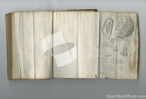 Image of Medical, information and drawing in book on paper in antique, vintage or old science textbook with knowledge. Archive, illustration and diagram on parchment with notes, science and study of organ