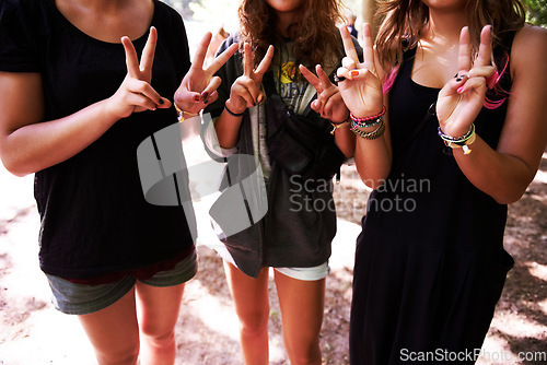 Image of Woman, friends and peace sign at outdoor party or social celebration, carnival as hipster group. Female people, vacation and hand gesture at happiness relax event for nature bonding, summer or park