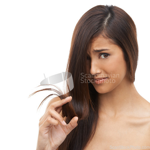 Image of Hair, woman and stress in studio with portrait for shampoo texture, treatment damage and keratin hairloss. Model, face and frustrated with salon for haircare, split ends or mockup on white background