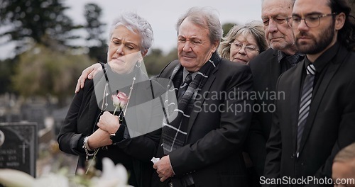 Image of Death, funeral and elderly couple sad together at pain or grief for death and loss during a ceremony. Rose, support or empathy with a senior man and woman feeling depression at a memorial service