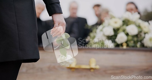 Image of Death, funeral and hand of man with flower at coffin, family at service in graveyard for respect. Roses, loss and people at wood casket in cemetery with memory, grief and sadness at grave for burial.