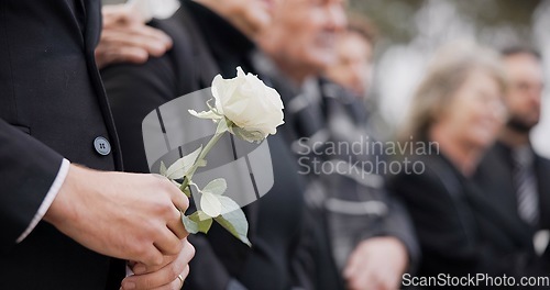 Image of Hands, rose and a person at a funeral in a cemetery in grief while mourning loss at a memorial service. Death, flower and an adult in a suit at a graveyard in a crowd for an outdoor burial closeup