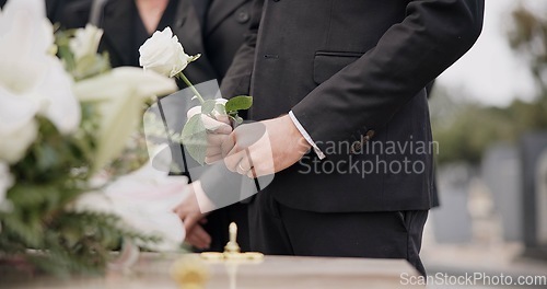 Image of Hand, rose and a person at a funeral in a graveyard in grief while mourning loss at a memorial service. Death, flower and an adult in a suit at a cemetery with a coffin for an outdoor burial closeup