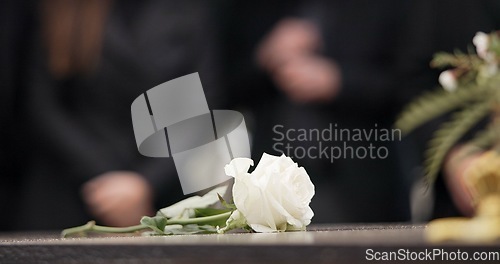 Image of Funeral, rose and flower on coffin in cemetery for outdoor burial ceremony for mourning person in death, grief or remembrance. Graveyard, roses or flowers for respect on casket, grave or tombstone