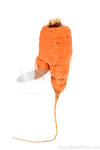 Image of Forked Twisted Carrot Vegetable