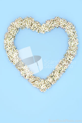 Image of Heart Shape Hawthorn Blossom Wreath
