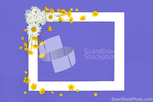 Image of Blossom Flower and Wildflower Spring Background Frame