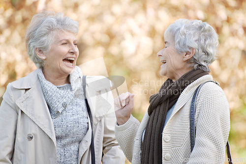 Image of Senior friends, talking and laughing in nature for reunion, together and funny chat on vacation in outdoor. Elderly women, social and silly discussion on travel adventure in england and care in park