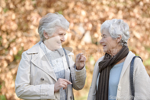 Image of Senior women, happy and conversation in park by autumn leaves, together and bonding on retirement in outdoor. Elderly friends, smile or communication on vacation in england, care or social in nature