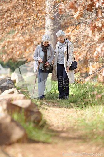 Image of Senior women, walking and support in park by autumn leaves, together and bonding on retirement in outdoor. Elderly friends, love and person with disability on vacation, care and talking in nature