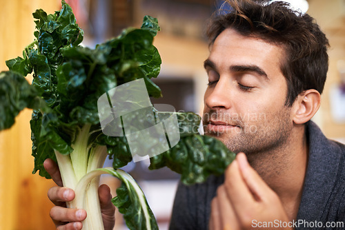 Image of Spinach, food and man shopping at a supermarket for grocery promotions, sale or discounts deal. Smell, fresh or customer buying groceries for healthy nutrition, organic vegetables or diet with choice