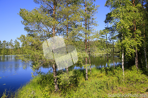 Image of Blue Lake Scenery on Midsummer Eve