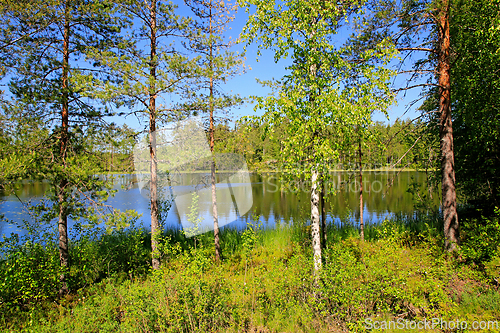 Image of Rural Lake Scenery on Midsummer Eve