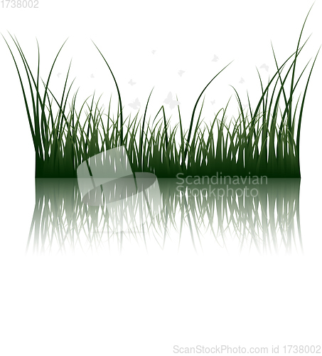 Image of grass on water