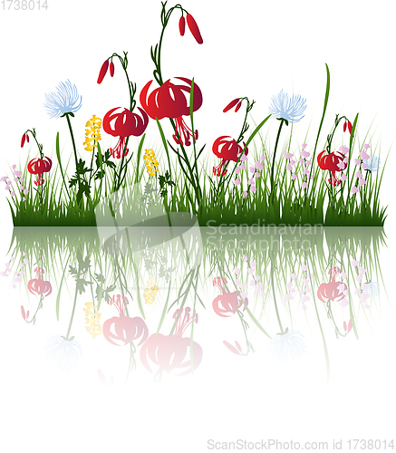 Image of grass on water