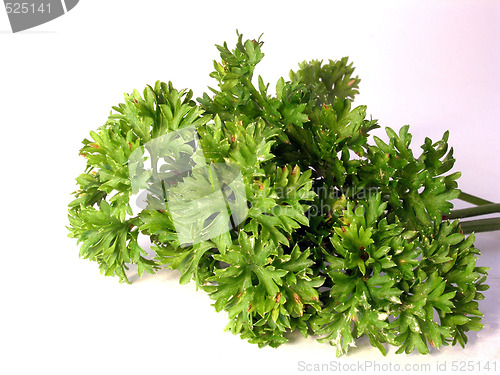 Image of parsley