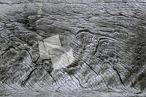 Image of detailed texture of oak wood