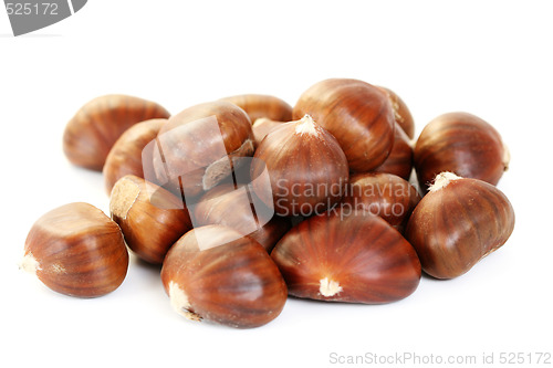 Image of edible chestnuts