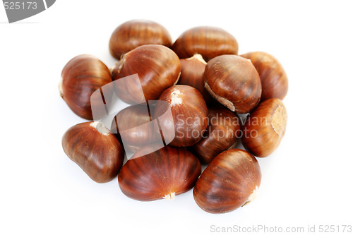 Image of edible chestnuts