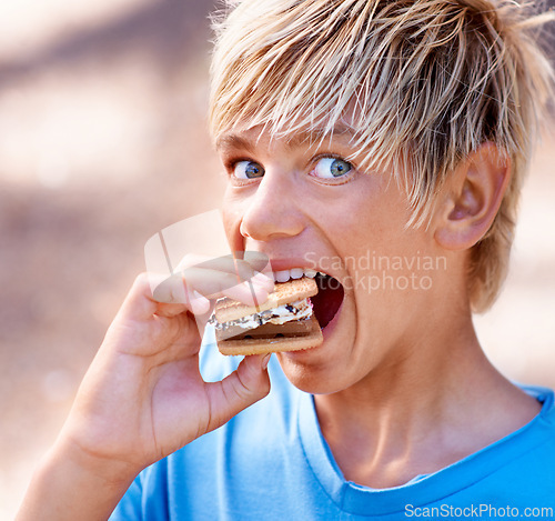 Image of Child, portrait and marshmallow smores or outdoor for dessert snack, adventure or summer. Boy, kid and face smile with chocolate or cookie for fire cooking or hungry for candy, sweet or environment