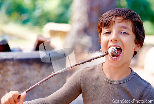 Image of Boy, camping or eating a marshmallow in portrait, hungry or fire roast candy in forest. Young child, summer break or smile on face for sugar snack, hiking or nature for holiday adventure or treat