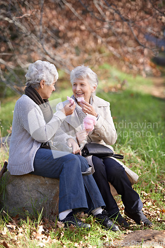 Image of Elderly women, happy and snack in park with candy floss, eating and together to relax on retirement in outdoor. Senior friends, smile and junk food on vacation in countryside and bonding in nature