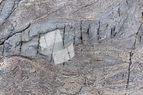 Image of A detailed view of a weathered rock surface showing natural patterns and textures.