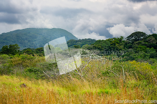 Image of Rincon de La Vieja Volcano, Costa Rica