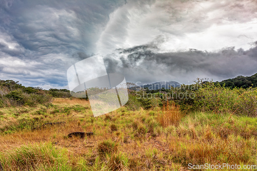 Image of Rincon de La Vieja Volcano, Costa Rica